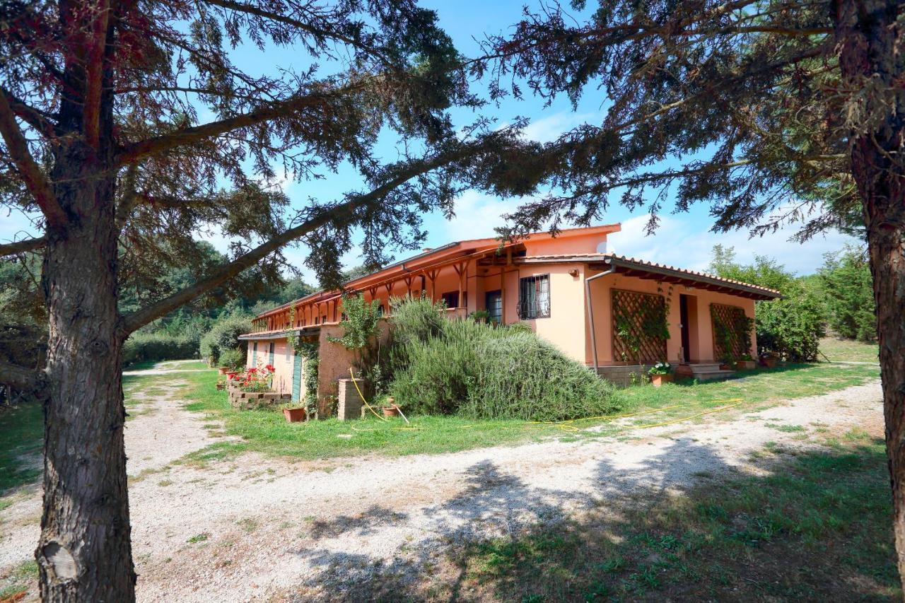 La Dimora Degli Etruschi Hostel Civitella Cesi Exterior photo